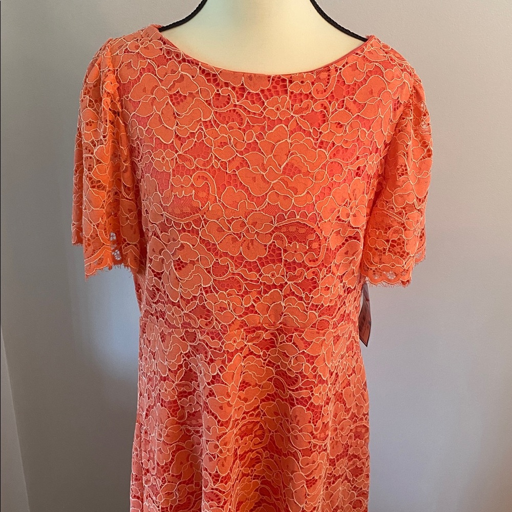 Jessica Howard NWT size 16 PETITE peach/pink lace dress - Picture 2 of 9